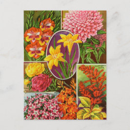 Vintage Saatgutanzeige Postkarte