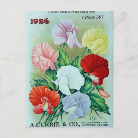 Vintage Saatgutanzeige Postkarte (Vorderseite)