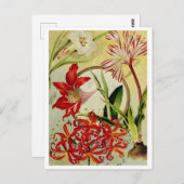 Vintage Saatgutanzeige Postkarte (Vorne/Hinten)