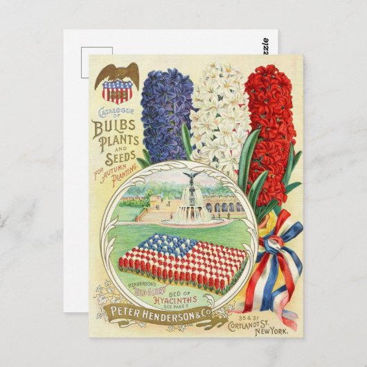 Vintage Saatgutanzeige Postkarte (Vorne/Hinten)