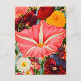 Vintage Saatgutanzeige Postkarte