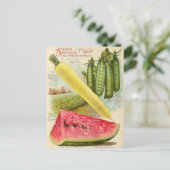 Vintage Saatgutanzeige Postkarte (Stehend Vorderseite)