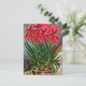 Vintage Saatgutanzeige Postkarte (Stehend Vorderseite)