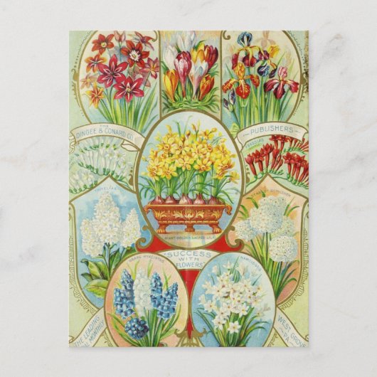 Vintage Saatgutanzeige Postkarte (Vorderseite)