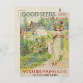 Vintage Saatgutanzeige Postkarte (Vorne/Hinten)