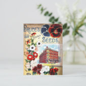 Vintage Saatgutanzeige Postkarte (Stehend Vorderseite)