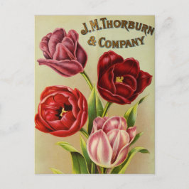 Vintage Saatgutanzeige Postkarte