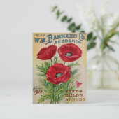 Vintage Saatgutanzeige Postkarte (Stehend Vorderseite)