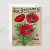 Vintage Saatgutanzeige Postkarte (Vorne/Hinten)