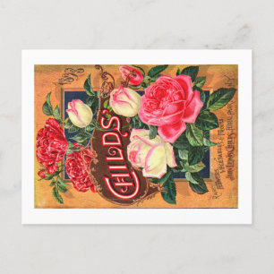 Vintage Saatgutpackkarten Postkarte