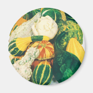 Vintage-Saatgutpackkunst, Kürbis-Mischmasch Magnet