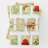 Vintage Saatgutpackungen Geschenkpapier Set (Beispiel)