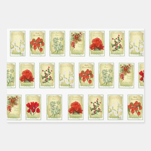 Vintage Saatgutpackungen Geschenkpapier Set (Vorderseite)