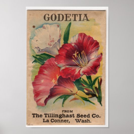 Vintage Saatgutpackungen Poster (Vorne)