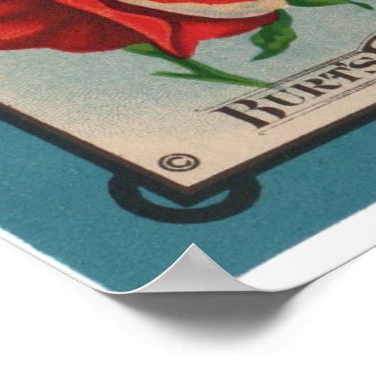 Vintage Saatgutpackungen Poster (Ecke)