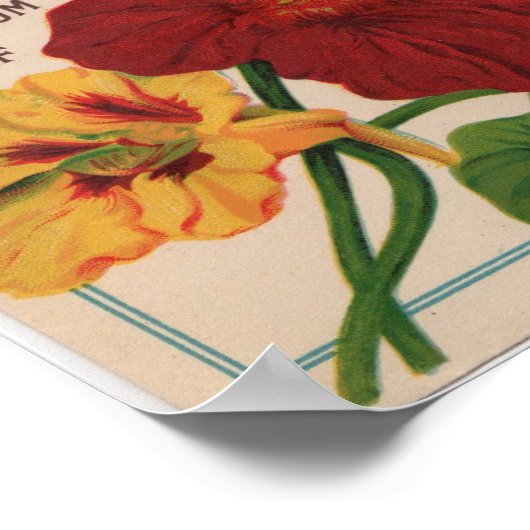 Vintage Saatgutpackungen Poster (Ecke)