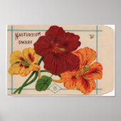 Vintage Saatgutpackungen Poster (Vorne)