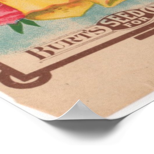 Vintage Saatgutpackungen Poster (Ecke)