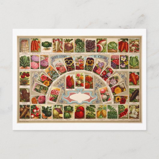 Vintage Saatgutpackungen Postkarte (Vorderseite)