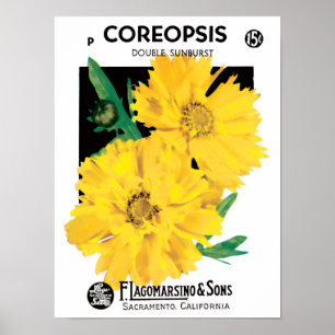Vintage Saatgutverpackung Art, Gelbe Coreopsis Blu Poster
