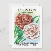 Vintage Saatgutverpackung Kunst, Pinks Nelke Blume (Vorderseite)