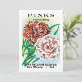 Vintage Saatgutverpackung Kunst, Pinks Nelke Blume (Stehend Vorderseite)