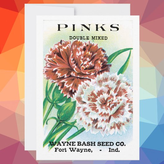 Vintage Saatgutverpackung Kunst, Pinks Nelke Blume