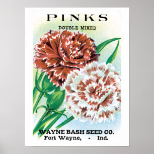 Vintage Saatgutverpackung Kunst, Pinks Nelke Blume Poster