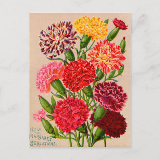 Vintage Saatgutverpackungskarten, Porto und Gesche Postkarte
