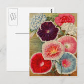 Vintage Saatgutverpackungskarten, Porto und Gesche Postkarte (Vorne/Hinten)