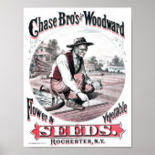 Vintage Saatgutwerbung Poster (Vorne)