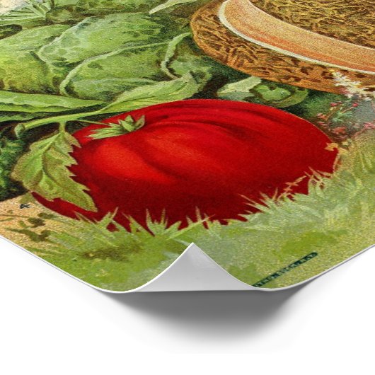 Vintage Saatgutwerbung Poster (Ecke)