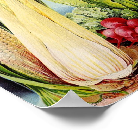 Vintage Saatgutwerbung Poster (Ecke)