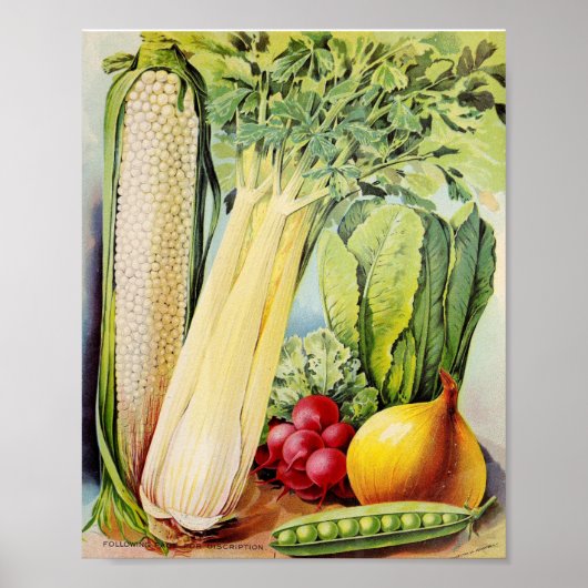 Vintage Saatgutwerbung Poster (Vorne)