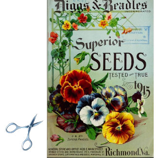 Vintage Saatkatalog-Diggs und Beadles 1915 Seidenpapier