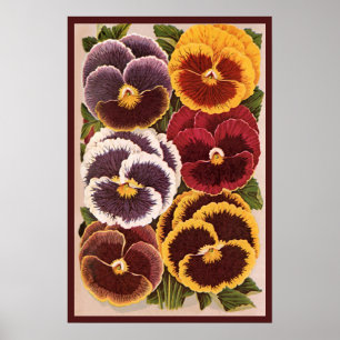 Vintage Saatpacketiketten, Blume der Gartenhalle Poster