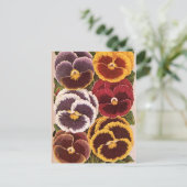 Vintage Saatpacketiketten, Blume der Gartenhalle Postkarte (Stehend Vorderseite)