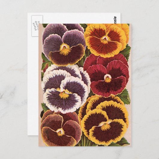 Vintage Saatpacketiketten, Blume der Gartenhalle Postkarte (Vorne/Hinten)