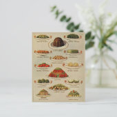 Vintage Salate und pflanzliche Geschirr Postkarte (Stehend Vorderseite)