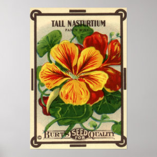 Vintage Samen-Paket-Aufkleber-Kunst, Poster