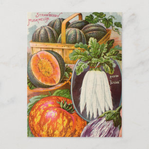 Vintage-Samen-Werbe-Postkarte Postkarte