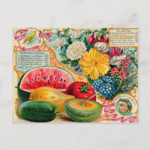 Vintage-Samen-Werbe-Postkarte Postkarte