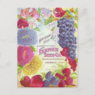 Vintage-Samen-Werbe-Postkarte Postkarte