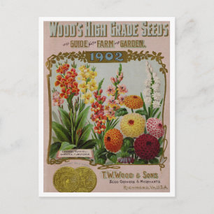 Vintage-Samen-Werbe-Postkarte Postkarte