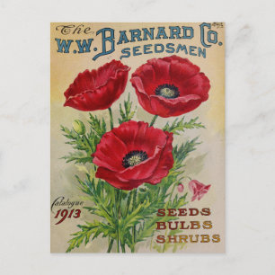 Vintage-Samen-Werbe-Postkarte Postkarte