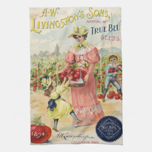 Vintage-Samenkatalog 1894 Livingston's Geschirrtuc Geschirrtuch
