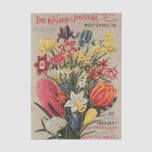 Vintage-Samenkatalog Conard and Jones Co. 1897 Seidenpapier