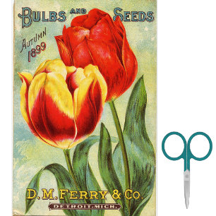 Vintage-Samenkatalog D.M. Ferry Herbst 1899  Seidenpapier