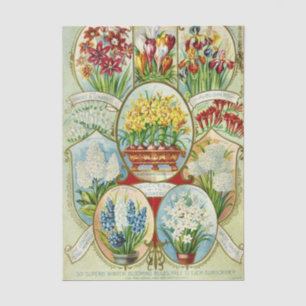 Vintage-Samenkatalog Dingee & Conard Blumen Zwiebe Seidenpapier