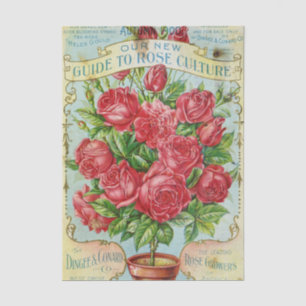 Vintage-Samenkatalog Dingee & Conard Rosenkultur  Seidenpapier